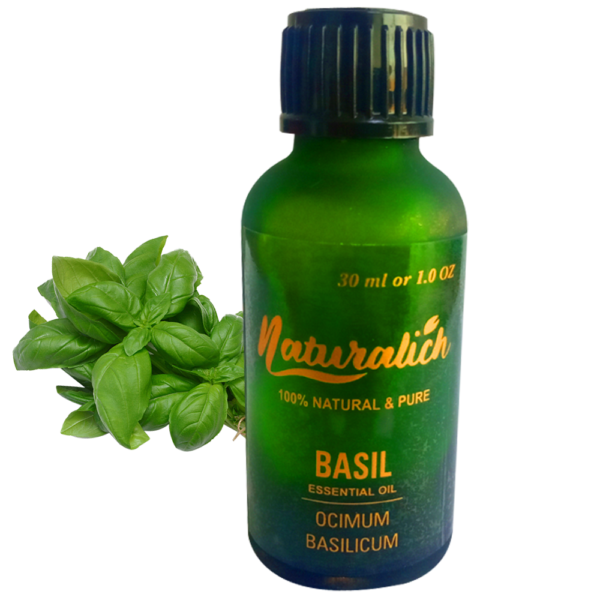 Naturalich Basil Essential Oil 15 ML, 100 % Pure & Natural Basil Essential Oil 30 ML, Basil Pure and Natural Essential Oil 15 ML, Naturalich Basil Essential Oil Steam Distilled 30 ML
