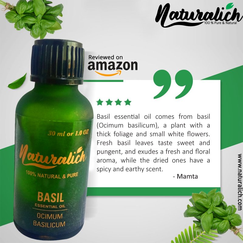 Naturalich Pure Basil Essential Oil Manufacturer in India