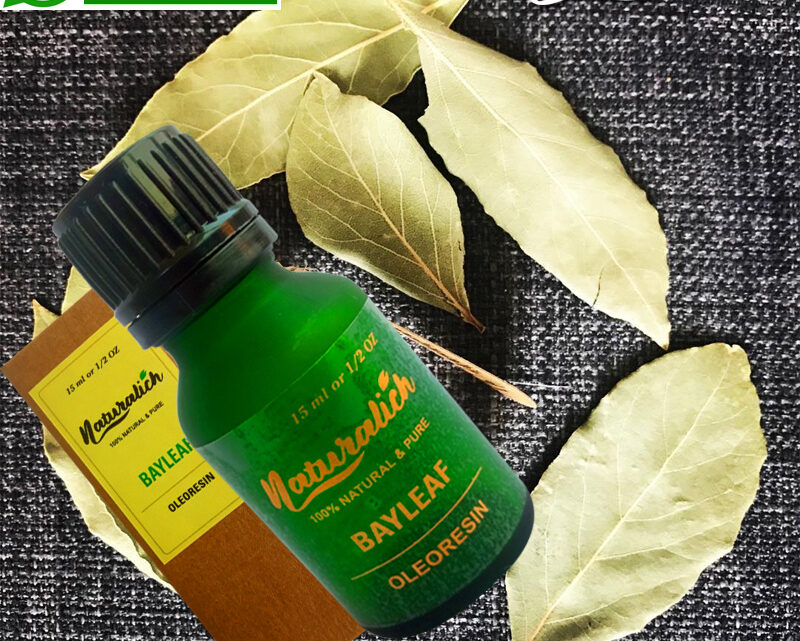 Buy Now Naturalich Bay Leaf Oleoresin 15 ML - Pure and Natural