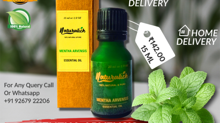 Mentha Arvensis Essential Oil