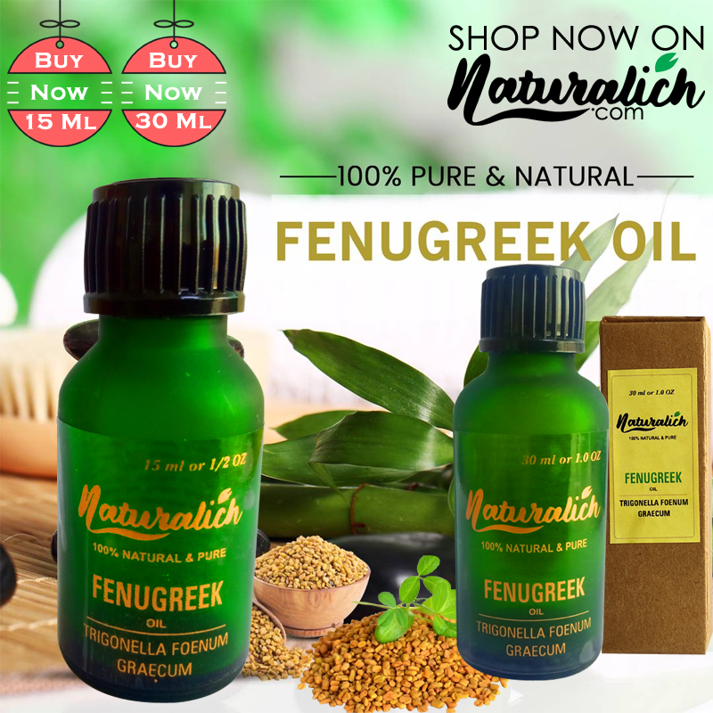 Buy Now Fenugreek Oil Online Order Now Fenugreek Oil Naturalich