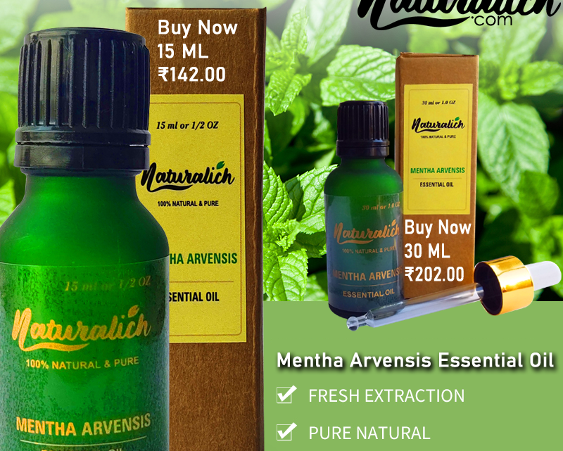 Mentha Arvensis Essential Oil