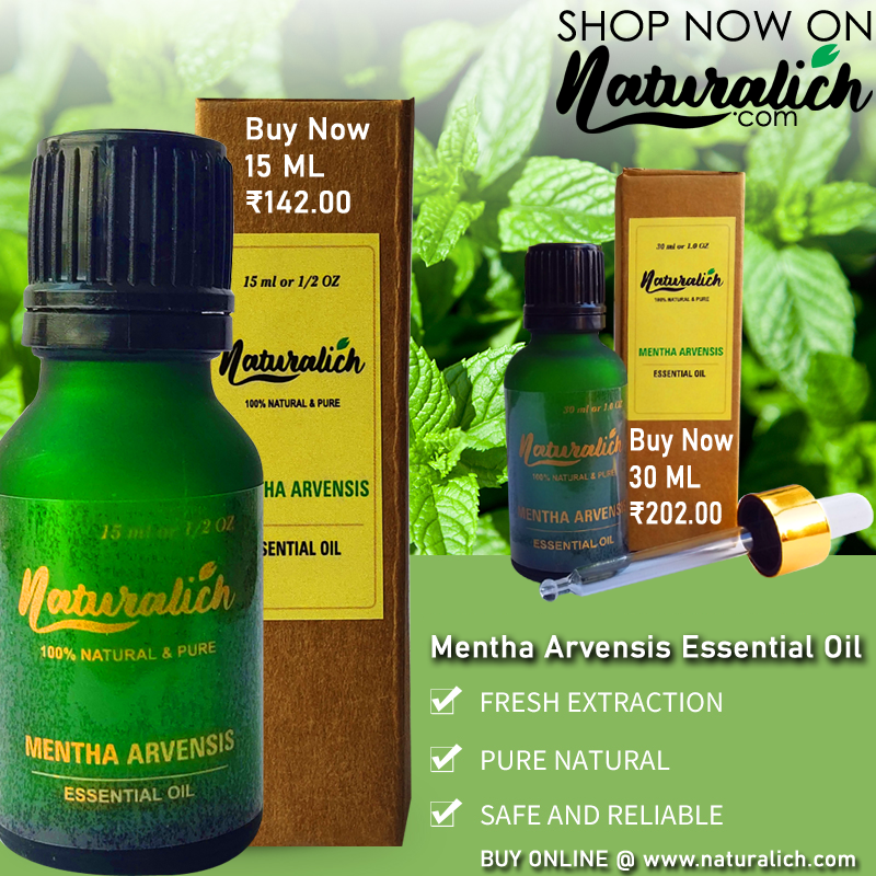 Mentha Arvensis Essential Oil 15 ML, Mentha Arvensis Essential Oil 30 ML