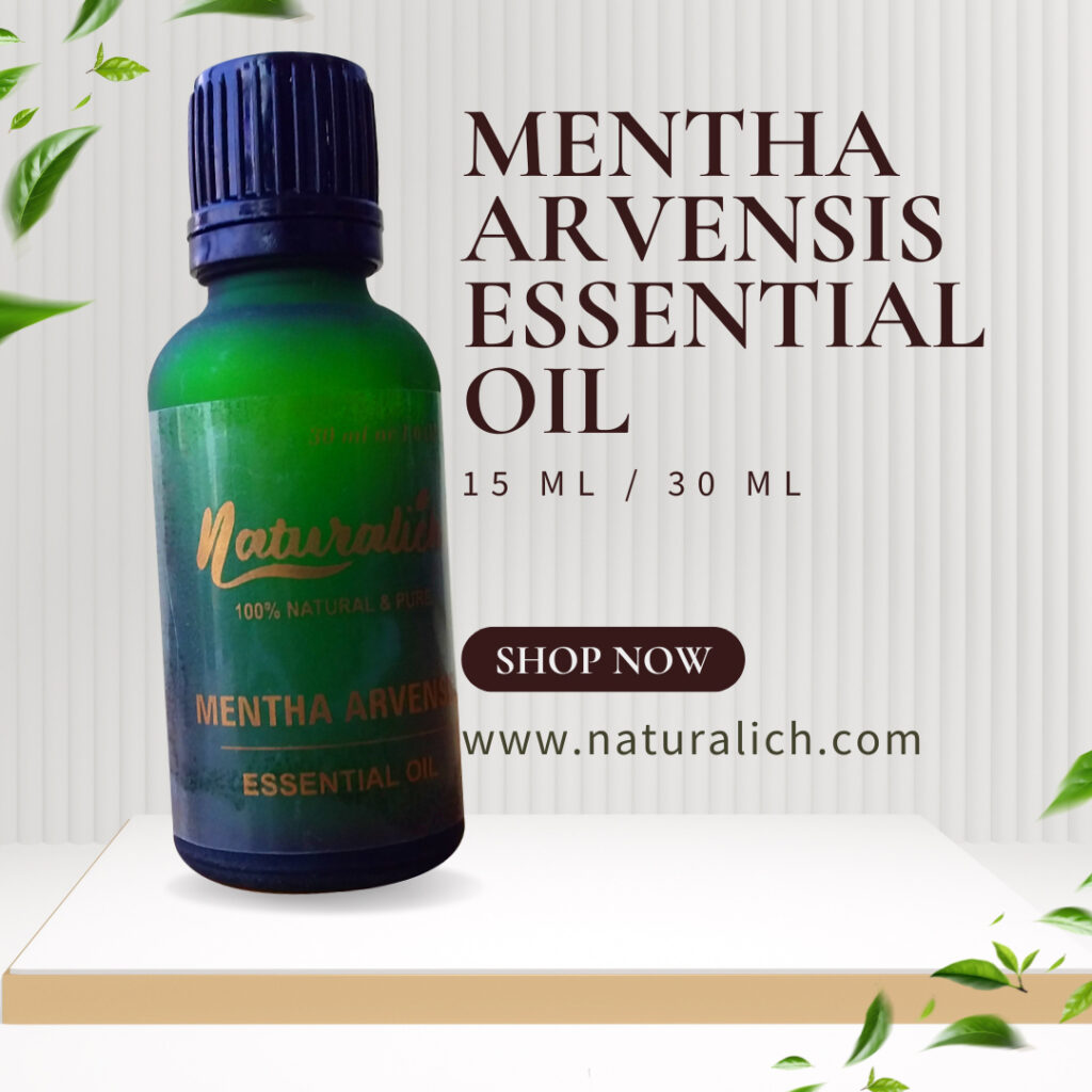 Mentha-Arvensis-Essential-Oil